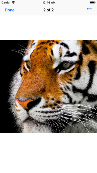 Real Tiger Stickers screenshot 4