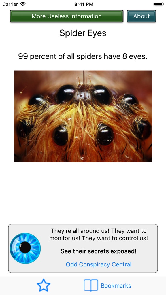 【图】Useless Information of the Day(截图2)