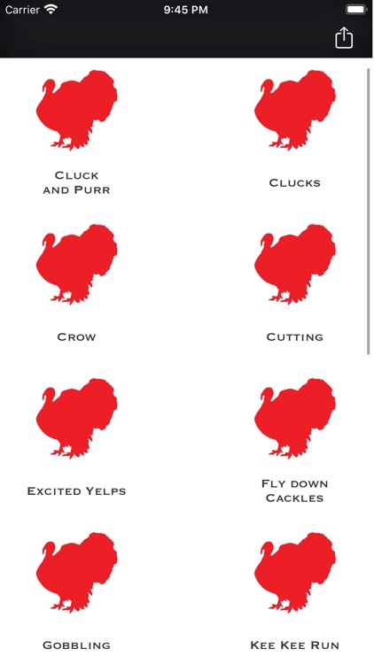 Wild Turkey Calls
