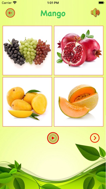 Learn Natural Food screenshot-4