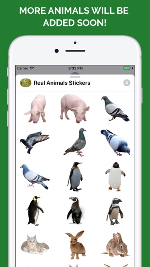 Real Animals Emoji Stickers(圖9)-速報App