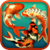 Koi Pond 3D