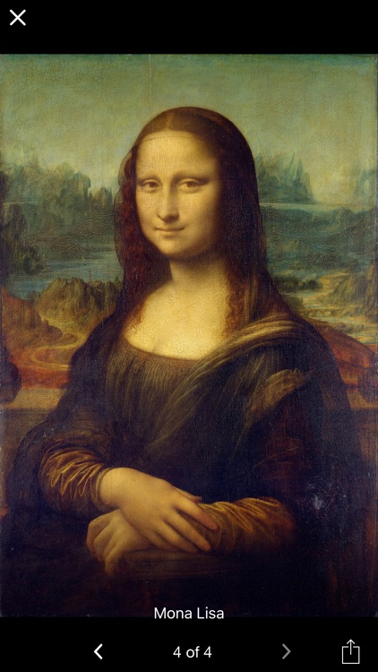 Leonardo da Vinci - Art