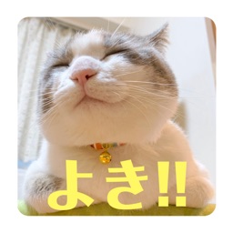 Izumon(cat)Sticker