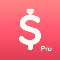 Minibudget Pro app not working? crashes or has problems?