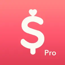 Application Minibudget Pro 4+