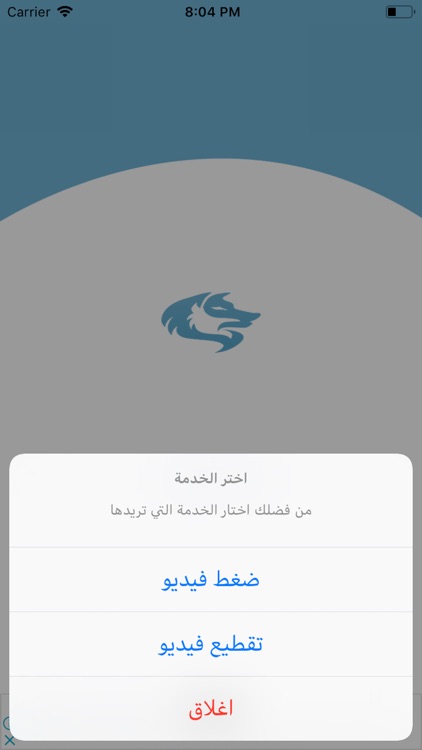 الذئب