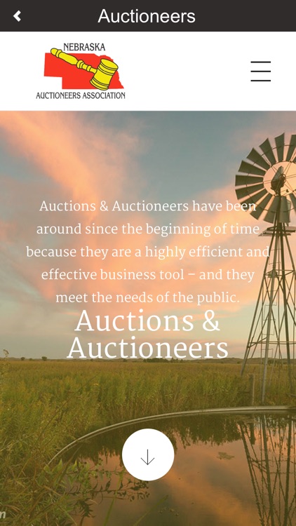 NeAA Auctioneers