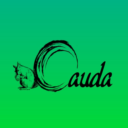 Cauda