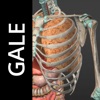 Gale Interactive Human Anatomy