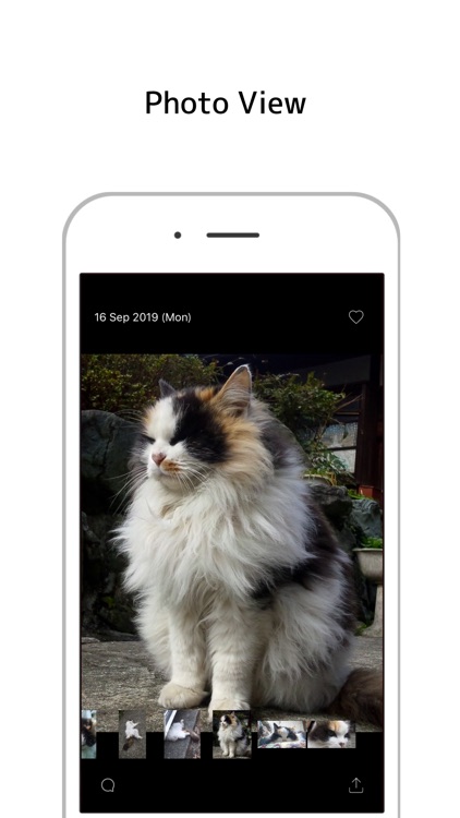 Day Photo screenshot-3