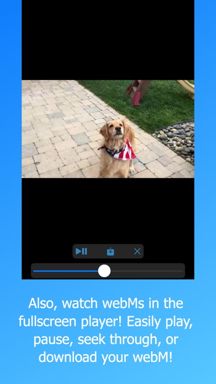 Frost WebM Player Browser