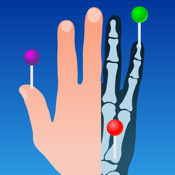 IMAIOS e-Anatomy icon