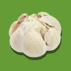 Garlic Stickers