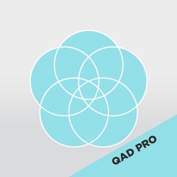 QAD PRO