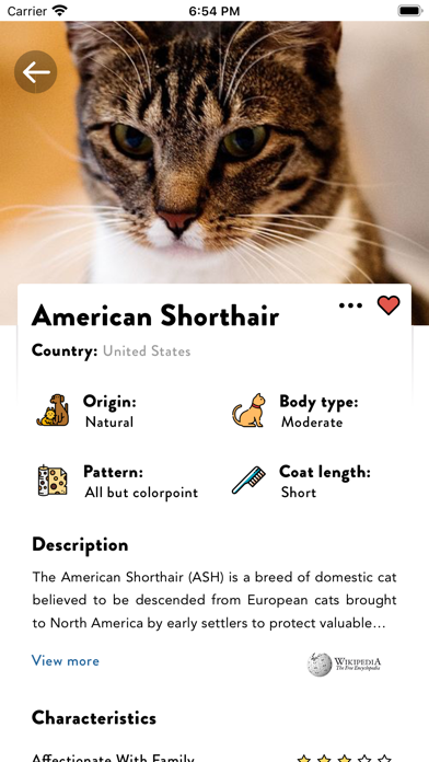 Cats Pedia: Breed identifier screenshot 2