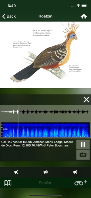 All Birds Ecuador field guide(圖8)-速報App