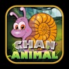 Chan Animal