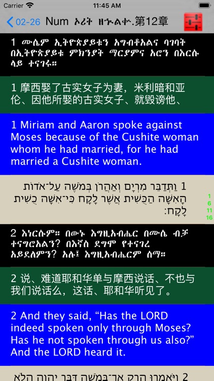 Amharic Audio Bible 阿姆哈拉語圣经 screenshot-3