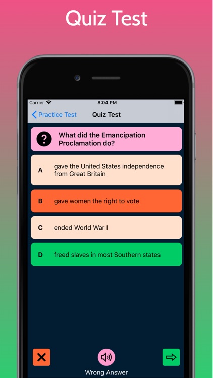 US Citizenship Test - Civics