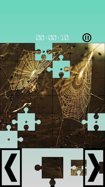 Images 15 Puzzles screenshot-0