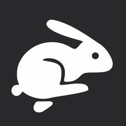 Bunny - Cliente