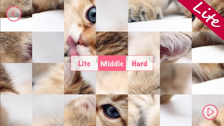 Kittens Lite - Easy Puzzle screenshot-5