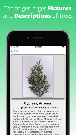 Tree Dictionary Pro(圖2)-速報App