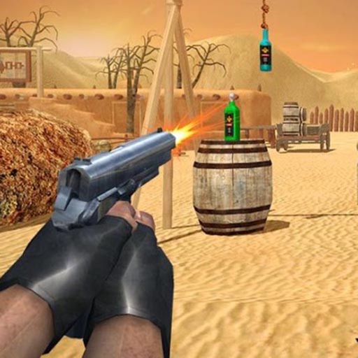 Bottle target shooting sale game