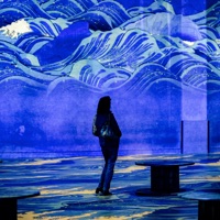 Les centres d’art DES LUMIÈRES pour PC