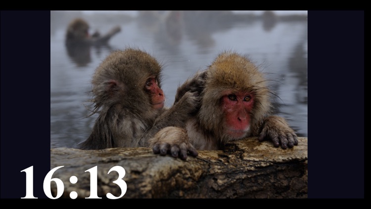 Snow Monkeys screenshot-3