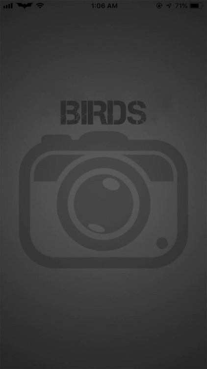 Birds-A Gift App screenshot-4