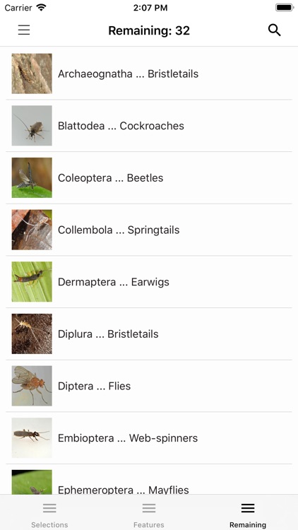 Key to Insect Orders - Revised screenshot-4