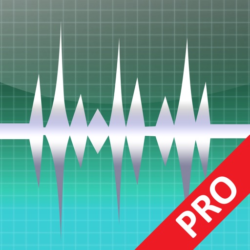 WavePad Professionale