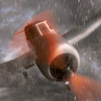 the Forest - Escape mystery Wiki