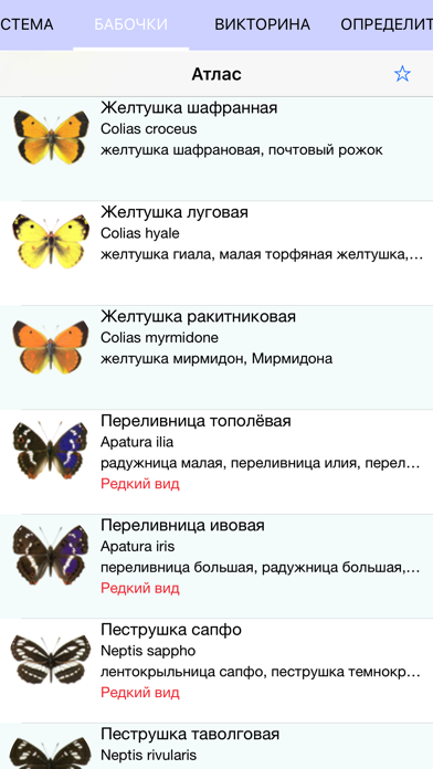 Экогид - Бабочки screenshot 3