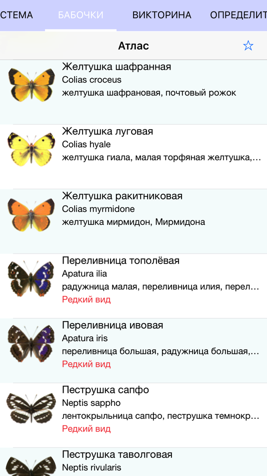 Как определить бабочку по фото