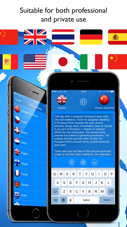 Web Translator Professional