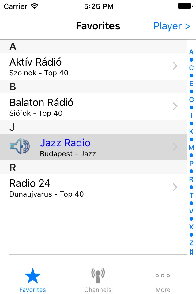 Radio Hungary screenshot 4