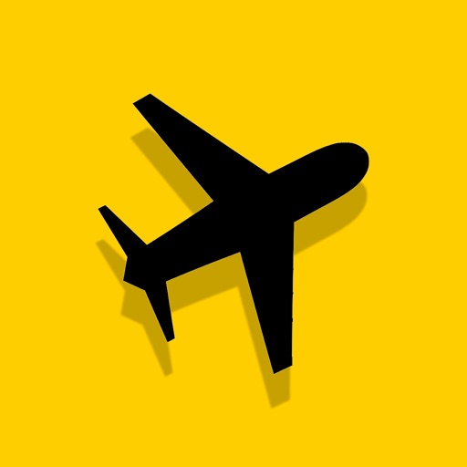 All american airlines in app iOS App