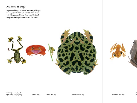 Image result for frog book steve jenkins