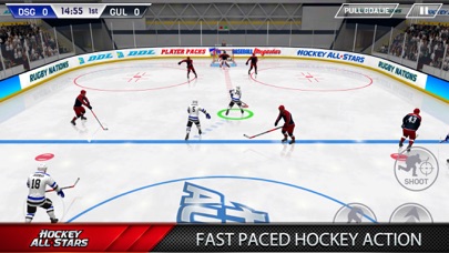 Hockey All Stars screenshot1