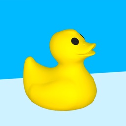 Save the Ducks