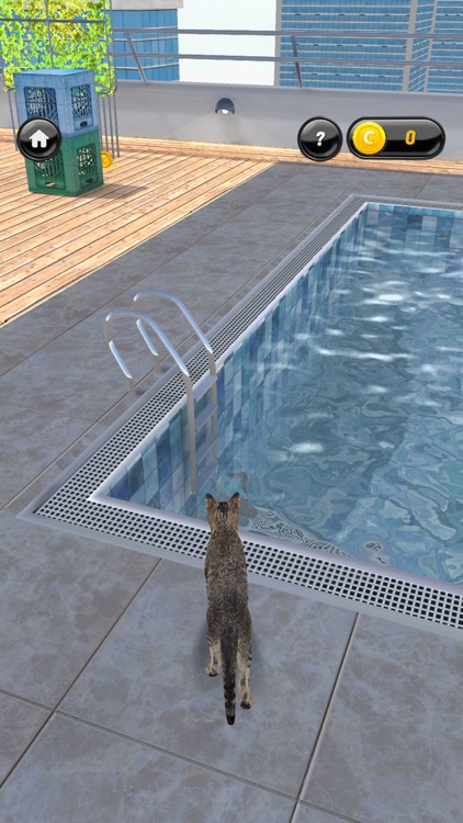My Kitten (Cat Simulator) screenshot-3