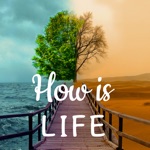 How is Life - Moods  Therapy