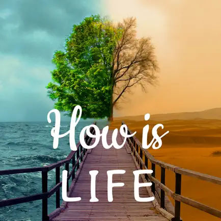 How is Life - Moods & Therapy Читы