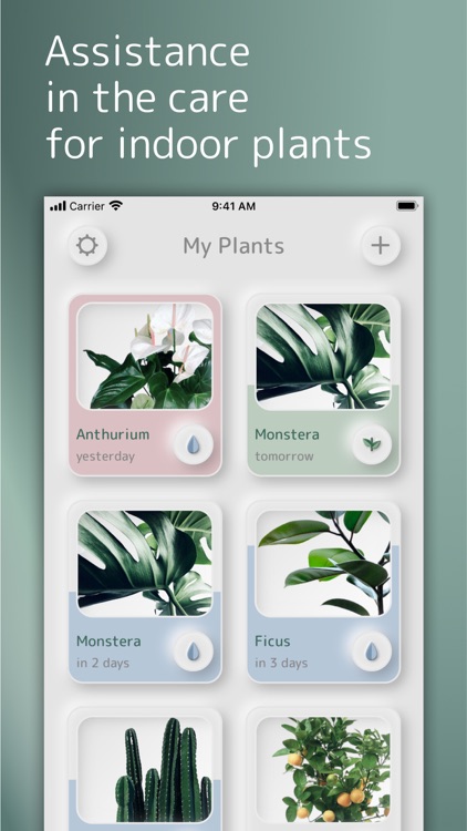 GreenS: Plants care assistant