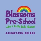 Blossoms P.S. Johnstown Bridge