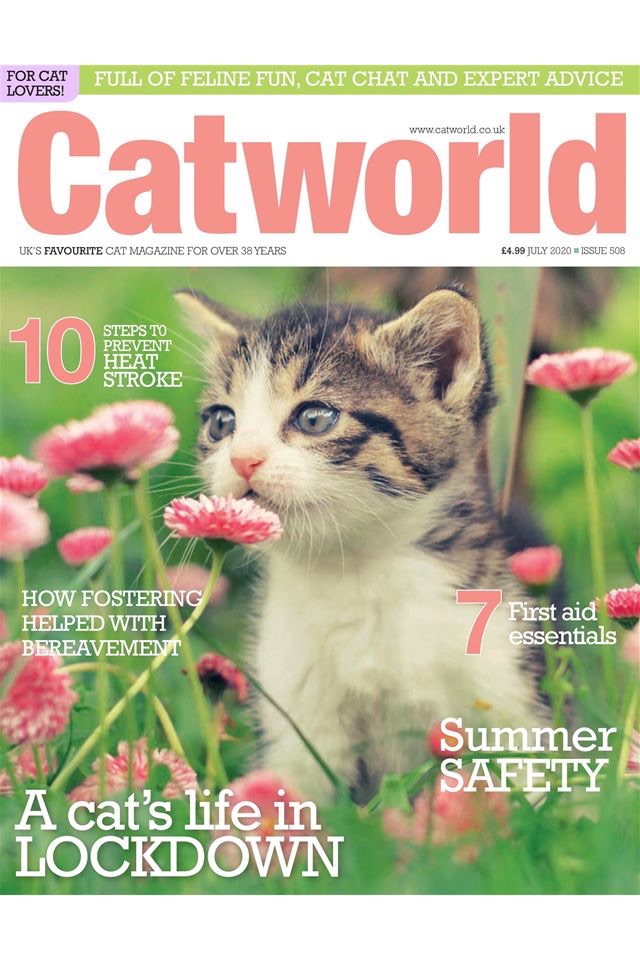 Catworld Magazine screenshot 3