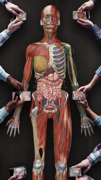 Human Anatomy Atlas 2021 Screenshot